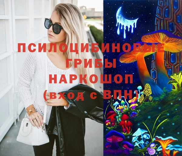 стафф Няндома