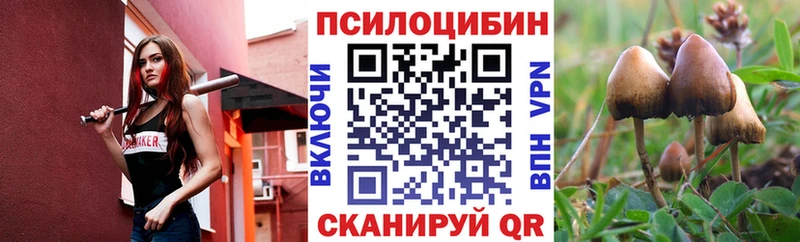 Псилоцибиновые грибы мицелий ОМГ ОМГ tor Орск